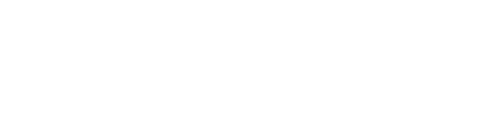 seolysis logo